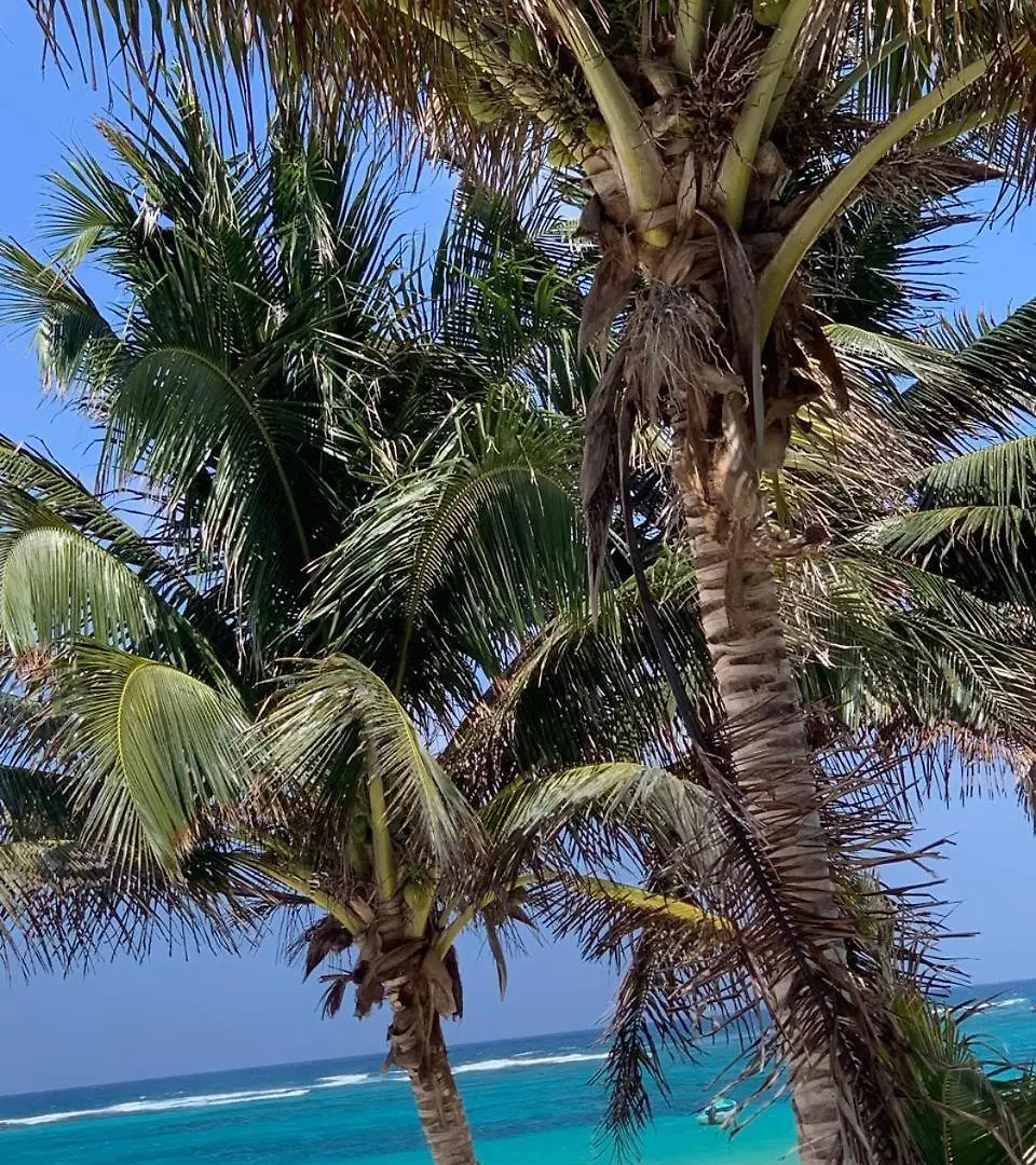 Casa De Lujo En Playa Del Carmen Villa